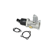 NRF Exhaust Gas Recirculation Valve 48325