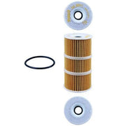 Mahle Engine Oil Filter OX 389/1D