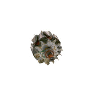 Bosch Alternator Rotor F 00M 131 728