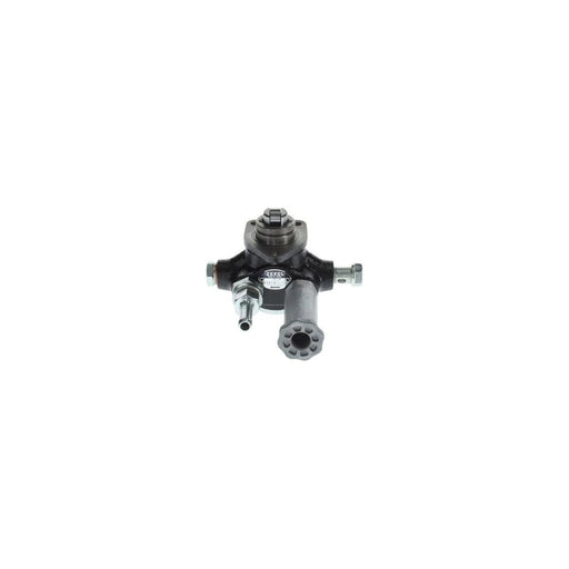 Bosch Fuel Pump Assembly H 105 210 326