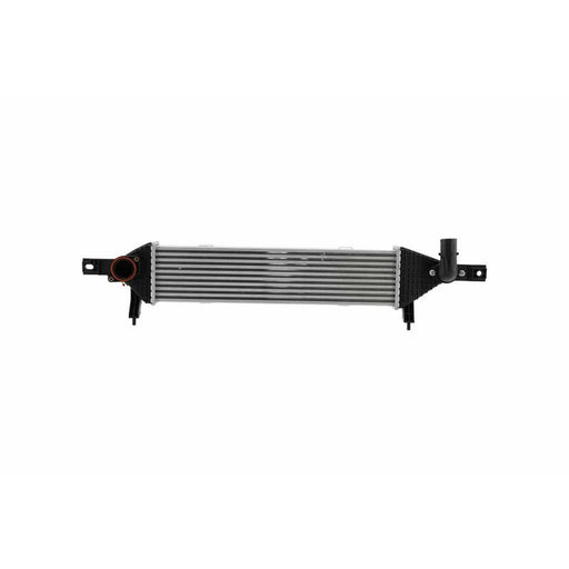 Hella Intercooler (Charge Air Cooler) 8ML 366 470-901