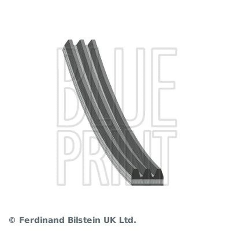 Blue Print Multi V-Ribbed Drive Belt AD03R763