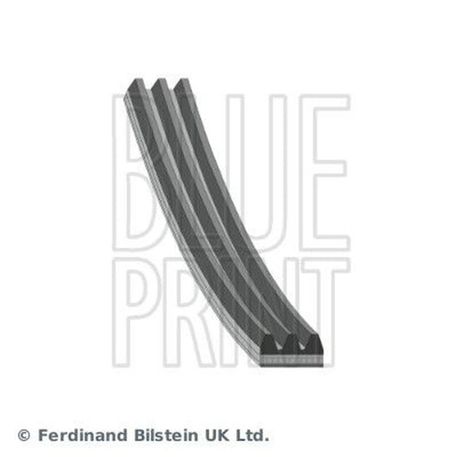 Blue Print Multi V-Ribbed Drive Belt AD03R854