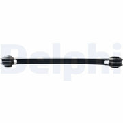 Delphi Control/Trailing Arm Rear TC4617