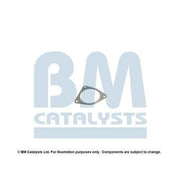 BM Catalysts Fitting Kit FK11511A FK11511A