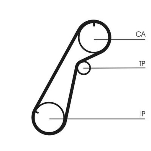 Continental CTAM Timing Belt Cambelt 101 Teeth CT1020