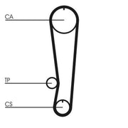 Continental CTAM Timing Belt Cambelt 95 Teeth CT808