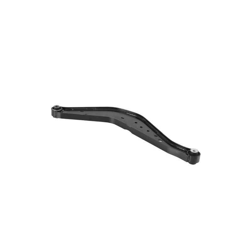 Delphi Control/Trailing Arm Rear TC7010