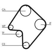 Continental CTAM Timing Belt Cambelt 162 Teeth CT832
