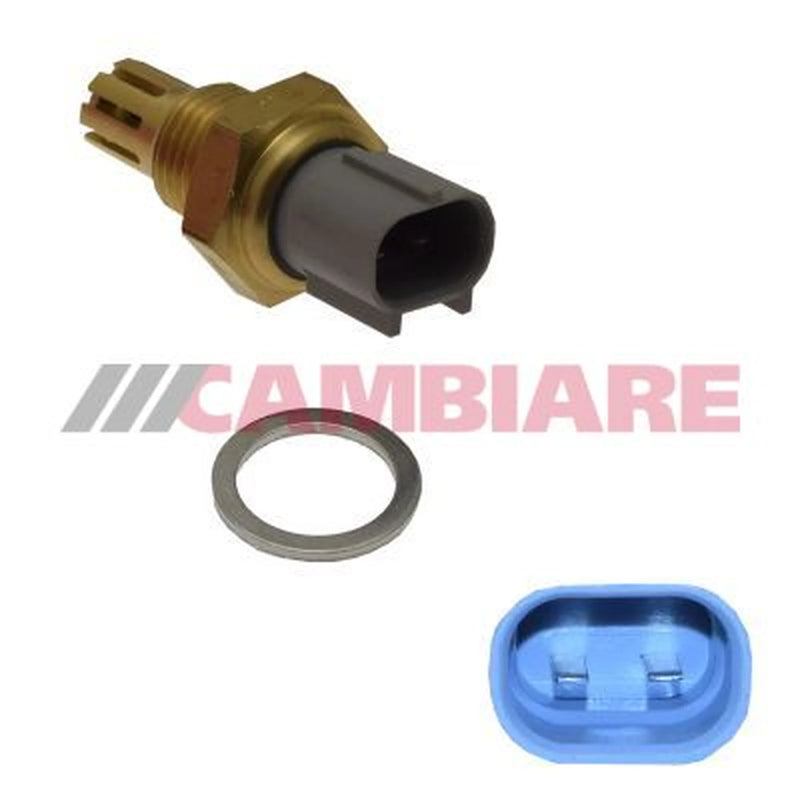 Cambiare Intake Air Temperature Sensor Lower VE718182