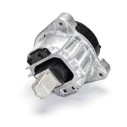 Delphi Engine Mount Mounting both sides TEM255