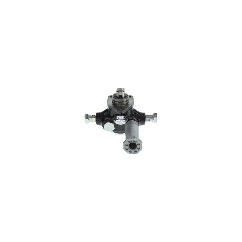 Bosch Fuel Pump Assembly H 105 217 173
