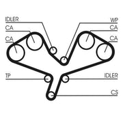 Continental CTAM Timing Belt Cambelt 281 Teeth CT1068