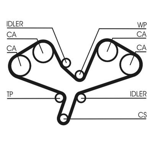 Continental CTAM Timing Belt Cambelt 281 Teeth CT1068
