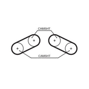 Gates Timing Belt Cambelt 58 Teeth 5526XS