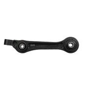 Delphi Control/Trailing Arm Rear TC5546