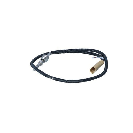 NRF Exhaust Gas Temperature Sensor after soot particulate filter 707274