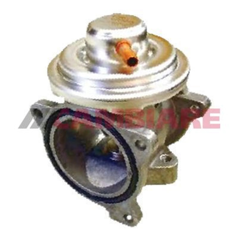 Cambiare Exhaust Gas Recirculation Valve VE360049