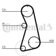 Continental CTAM Timing Belt Cambelt 121 Teeth CT848