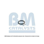 BM Catalysts Fitting Kit FK80157B FK80157B
