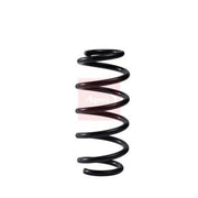 Apec Rear Suspension Coil Spring ACS2179