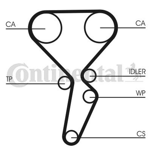 Continental CTAM Timing Belt Cambelt 154 Teeth CT941