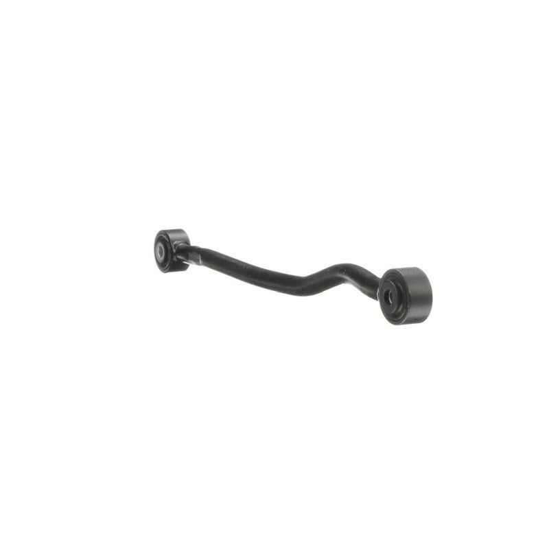 Delphi Control/Trailing Arm Rear TC6009