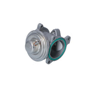 NRF Exhaust Gas Recirculation Valve 48611