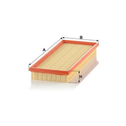 MANN-FILTER Engine Air Filter C 3463