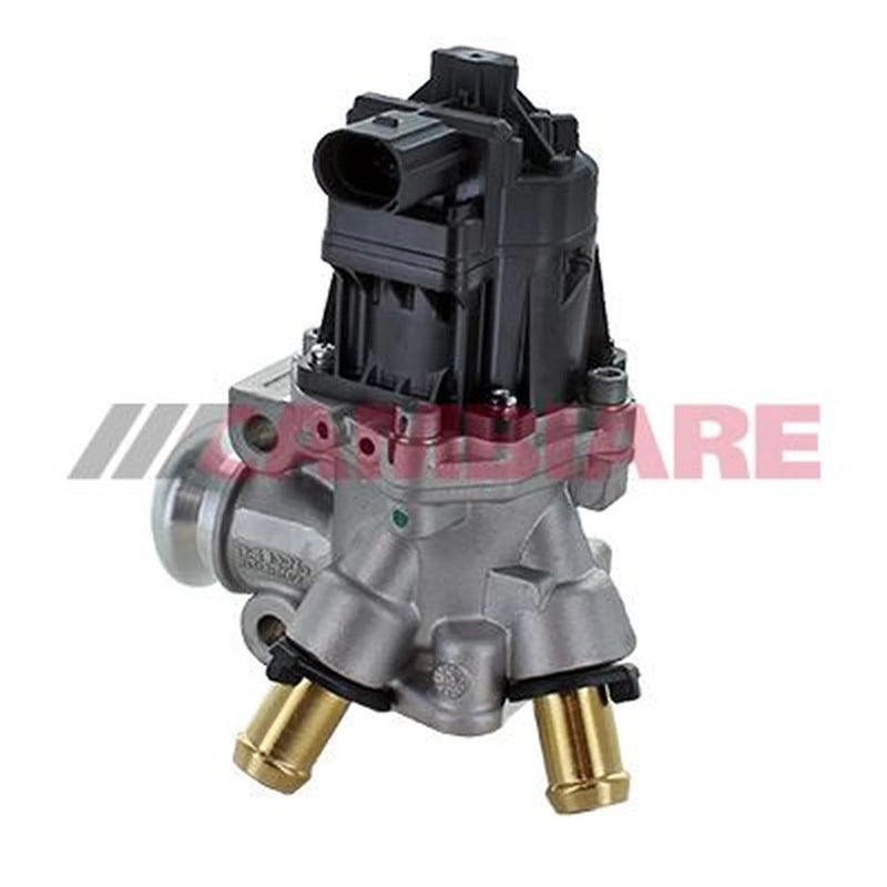 Cambiare Exhaust Gas Recirculation Valve VE360347