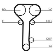 Continental CTAM Timing Belt Kit with Rollers CT978K2