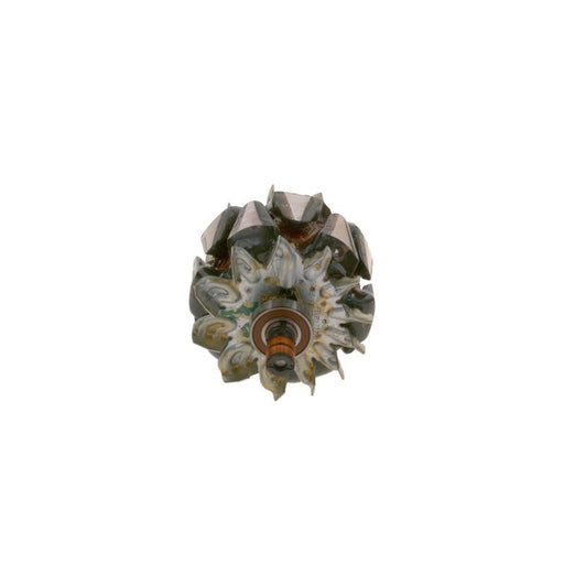 Bosch Alternator Rotor F 00M 131 728
