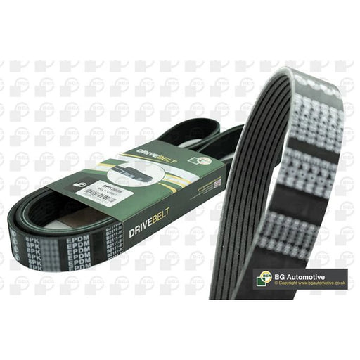 BGA Multi V-Ribbed Drive Belt 8PK1310