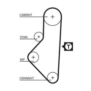 Gates Timing Belt Cambelt 113 Teeth 5050XS