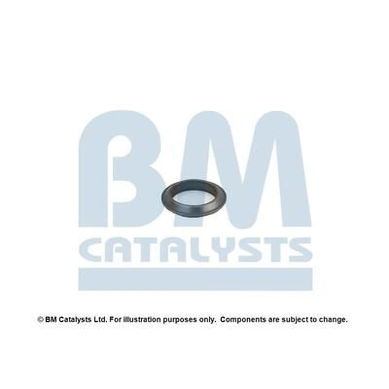 BM Catalysts Fitting Kit FK80153A FK80153A