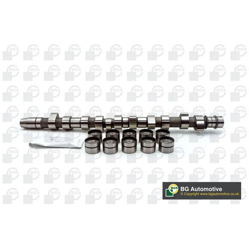 BGA Camshaft Kit Set With Bearings Intake Side CS3381K