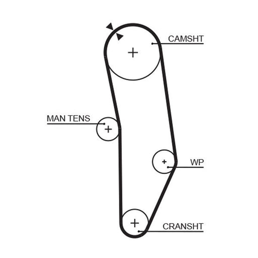 Gates Timing Belt Cambelt 93 Teeth 5010