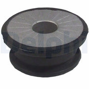 Delphi Axle Beam Bushing Front TD823W