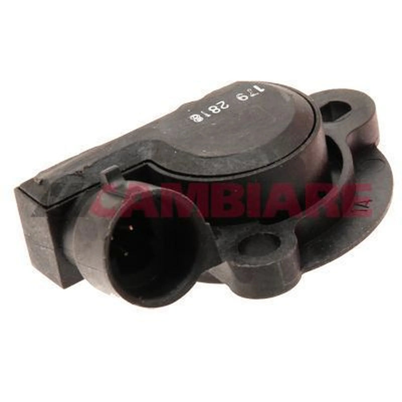 Cambiare Throttle Position Sensor VE378005
