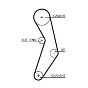 Gates Timing Belt Cambelt 124 Teeth 5503XS