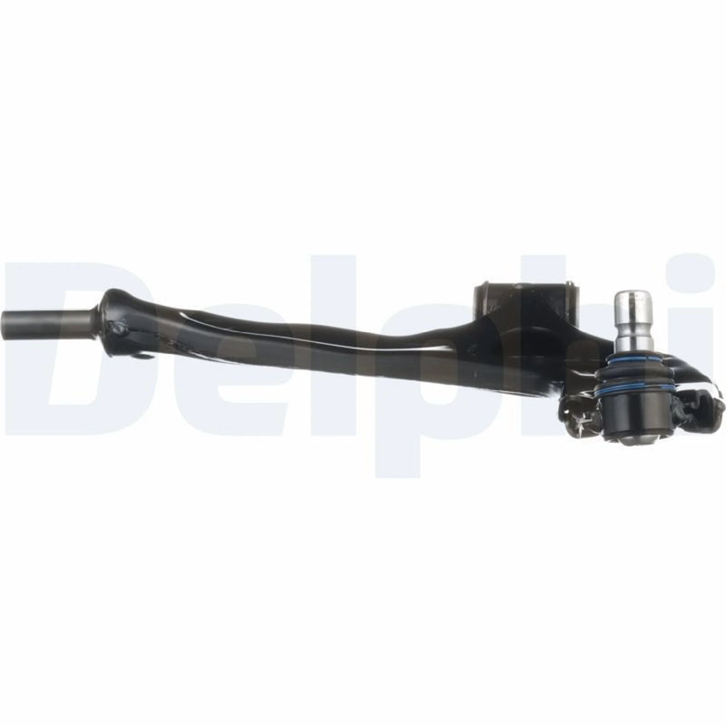 Delphi Control/Trailing Arm Lower TC3879