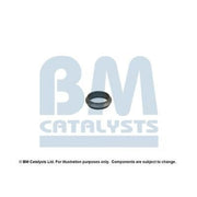 BM Catalysts Fitting Kit FK80167A FK80167A
