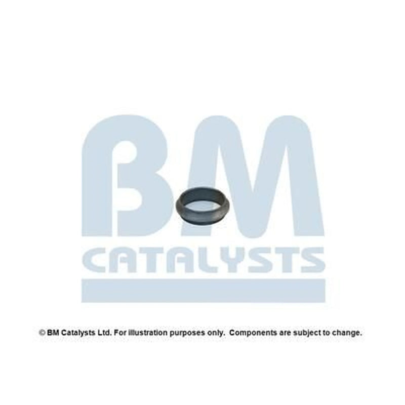 BM Catalysts Fitting Kit FK80167A FK80167A