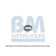 BM Catalysts Fitting Kit FK80092A FK80092A