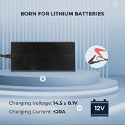 Renogy 20A 240V AC to DC Lithium Iron Phosphate Battery Charger - Dyna-mo Solar - Van Life Living