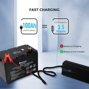 Renogy 20A 240V AC to DC Lithium Iron Phosphate Battery Charger - Dyna-mo Solar - Van Life Living