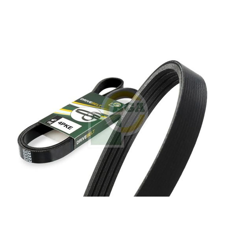 BGA Multi V-Ribbed Drive Belt 4PK1525E