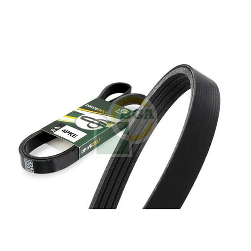 BGA Multi V-Ribbed Drive Belt 4PK734E