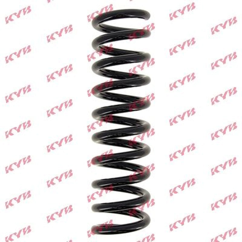 KYB Rear Suspension Coil Spring RA6219