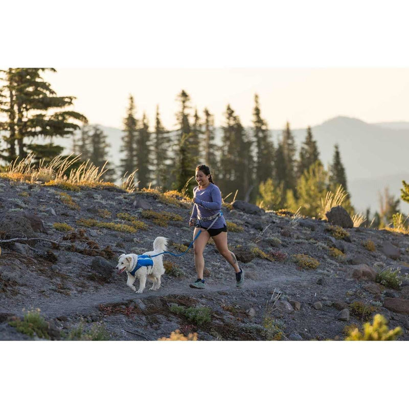 Ruffwear Trail Runner Belt in Blue Pool (Small / Medium) - Ruffwear - Van Life Living